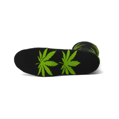 Black/Green