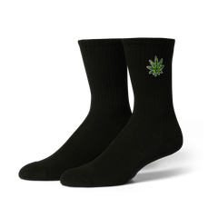 Black/Green