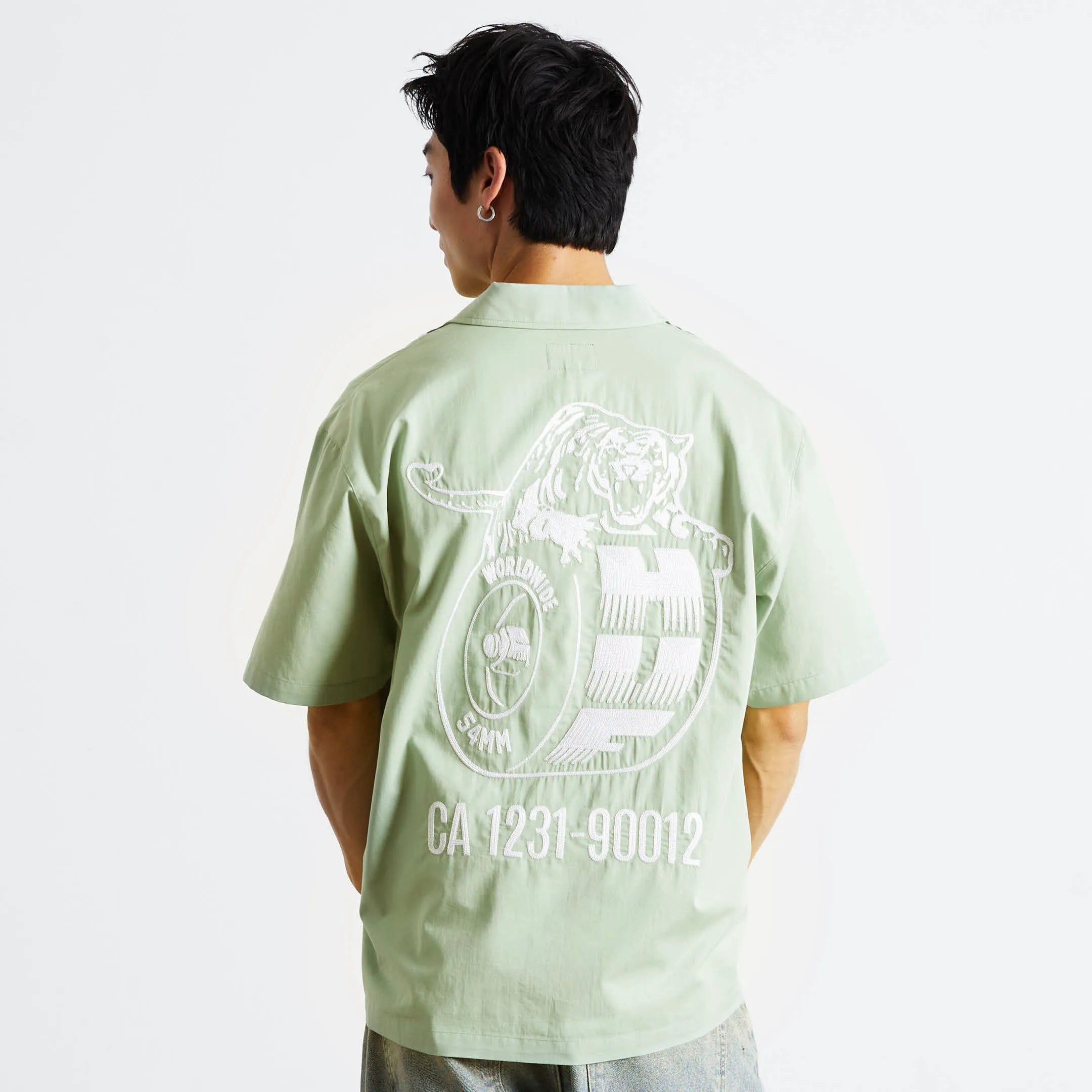 Mist Green