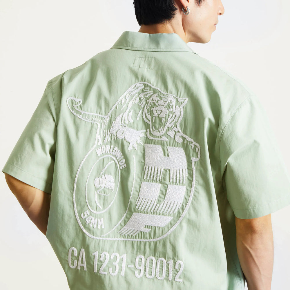Mist Green